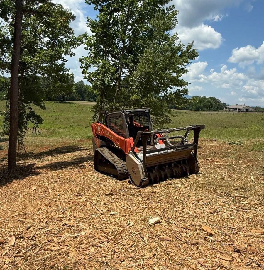 Ground cleared by forestry mulching, covered in mulch rather than left bare.